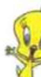 Tweety