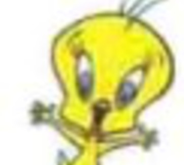 Tweety