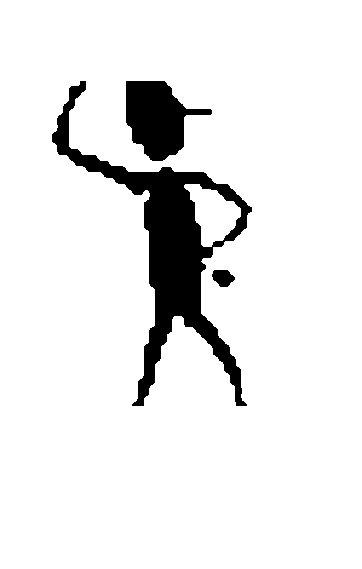 robert3000