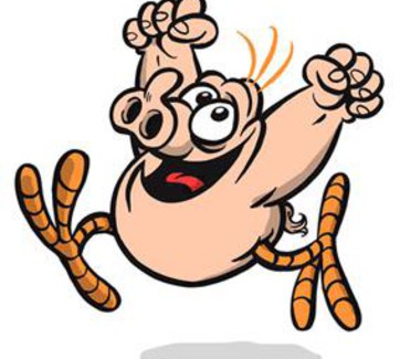 Schweinevogel