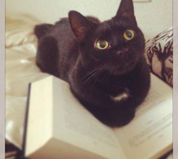 floeckchenausderhoelle