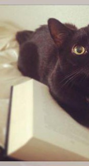 floeckchenausderhoelle