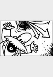 Schweinevogel 029 -"Haushaltsloch"