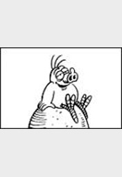 Schweinevogel 042 "Stille"