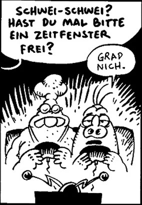 Schweinevogel Short Novel 233 "Zeitfenster"