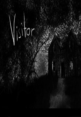 Visitor