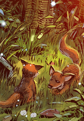 Das Wunder 08: Von Füchsen