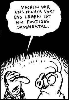 Schweinevogel Short Novel 245 "Fertig"