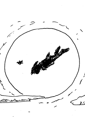 Der Weg nach Nimmerland