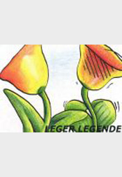 LL-Fass mir nicht an den Topf