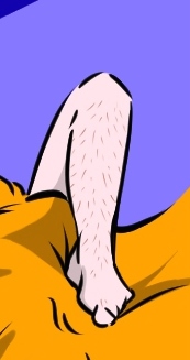 Stilblüten einer Fernbeziehung