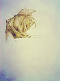 Robe digne un grand cœur