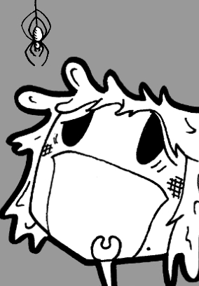 Spinnen, überall Spinnen!