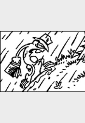 Schweinevogel "Bestandsaufnahme"