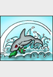 Warum es keinen Sockenhai gibt!