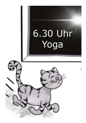 Yoga Katze