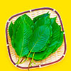 kratom.org - The Most Trusted Kratom Resource