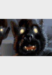 Vollmond, meine Schande