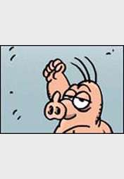 Schweinevogel Short Novel 070 "Lass Hirn regnen"