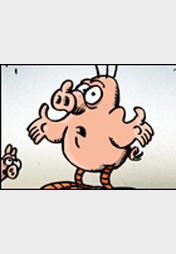 Schweinevogel So ganz allgemein