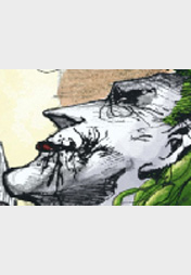 Batman - Arkham Asylum: Madness