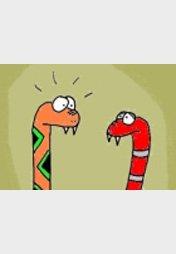 Neues aus dem Terrarium II