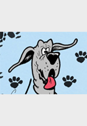 Der Dogtari: Renovierung