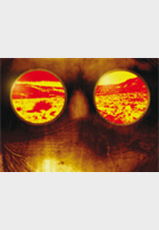 Staubiges Land (Wasteland Bd. 1) 1