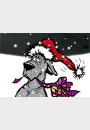 Weihnachten mit Bruno