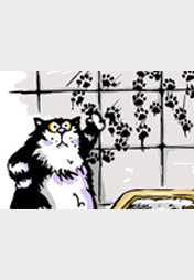 Die Körpersprache der Katze