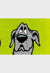 Yoga mit Dogge und Wahlwerbung