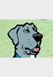 Schneller Sir James!