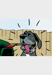 Ein Freund, ein guter Freund...