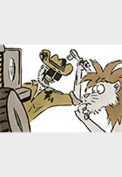 Ranger und Löwe: Sommerreifen