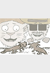 Ranger und Löwe: Axolotl