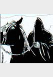 DIE GEFÄHRTEN 3 - Drei Mann hoch