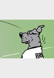 Jogi Löw braucht Bruno Teil 3