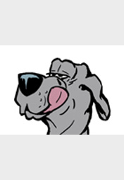 Bruno das EM Orakel Teil 2