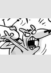 Winfrid&Fränk - ihelm