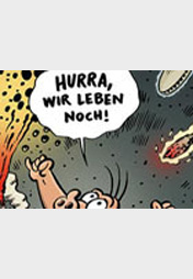 Schweinevogel Cartoon 2013