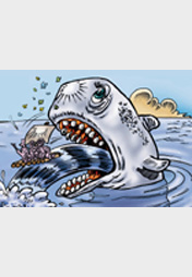 Little Loplop "Bermuda Piraten"