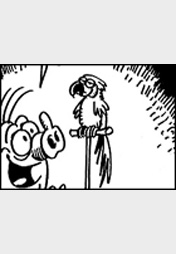 Schweinevogel Short Novel 198 "Papagei"