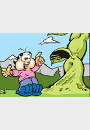 2 nagelneue Lena-Strips