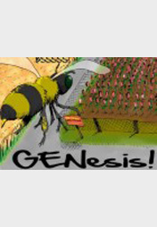 GENesis