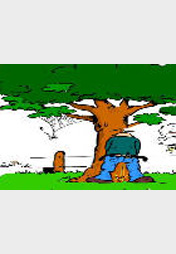 Dont Drink And Drive