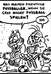 Schweinevogel 022 - "Fußballer-Leben"