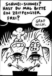 Schweinevogel Short Novel 233 "Zeitfenster"
