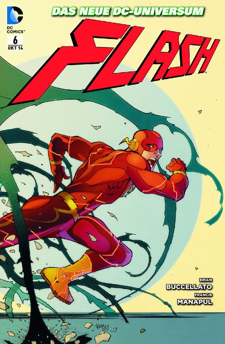 Flash 6