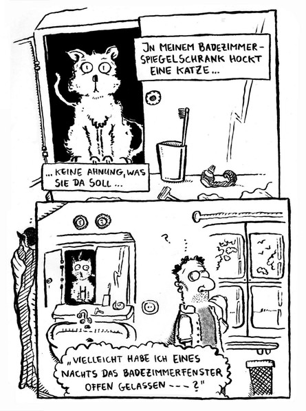 Badezimmer- spiegelschrank