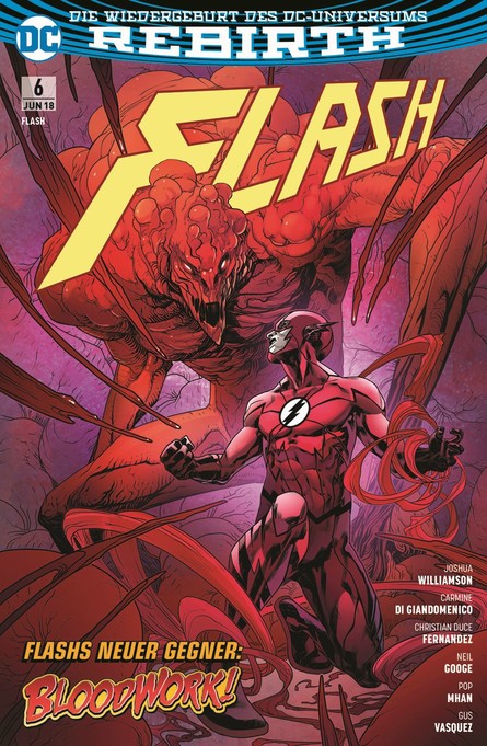 FLASH 6